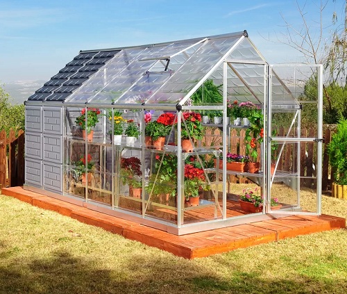 Greenhouse-Saffron-14-1